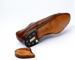 Pantoful spionilor