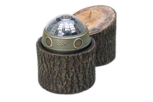 Butuc de interceptare