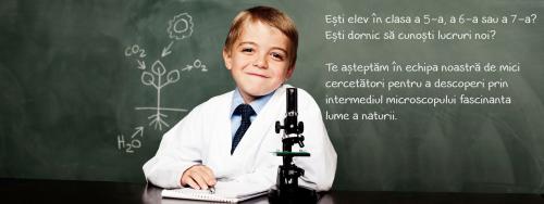 Proiect: Laboratorul lui Ben